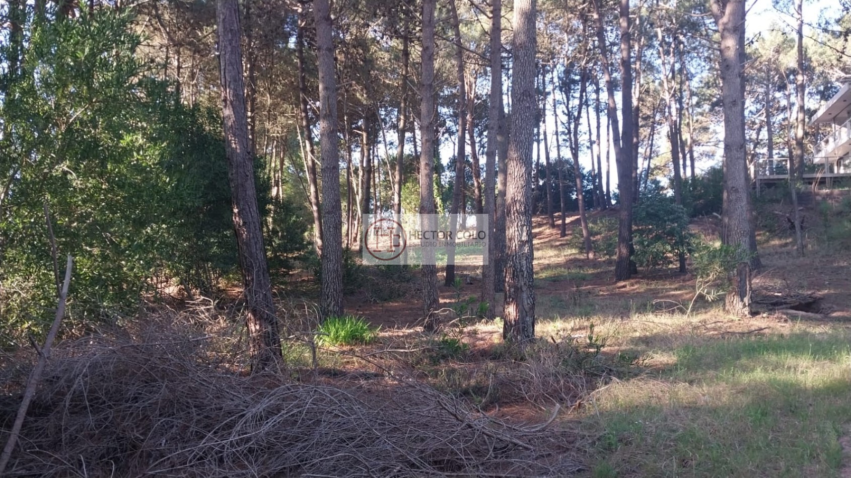 Venta de lote en Alamos