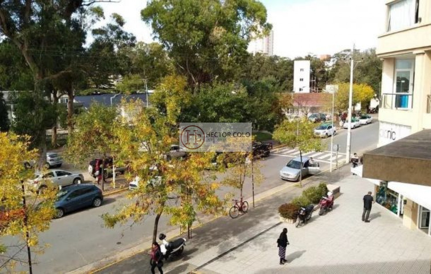 DEPARTAMENTO CENTRICO PINAMAR