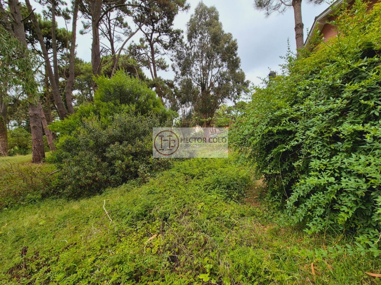 Lote en Valeria del Mar