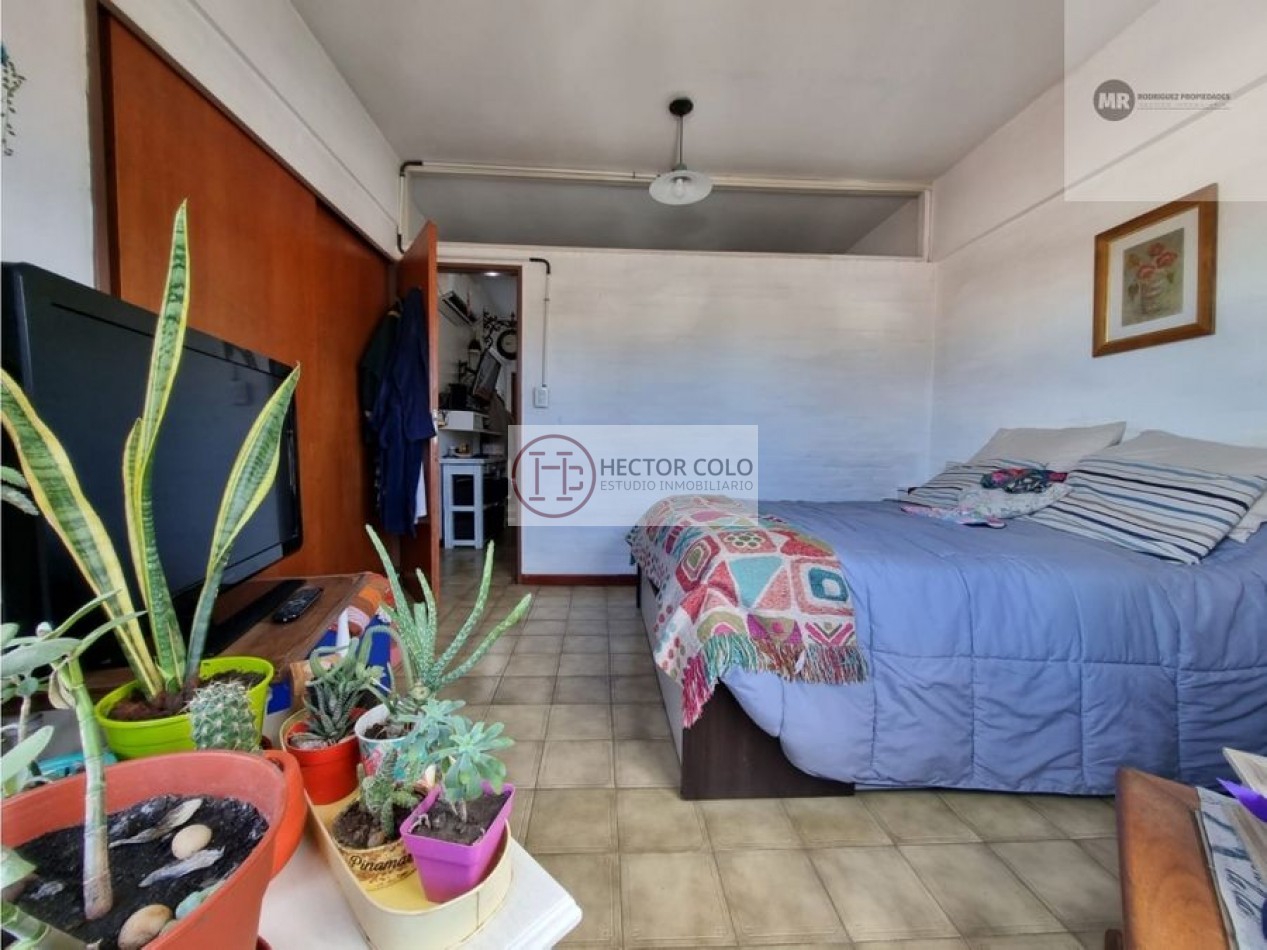 Departamento Centrico - APTO PROFESIONAL