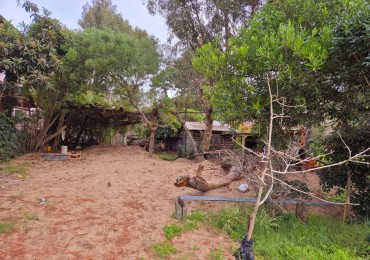 Venta de lote Multifamiliar, Valeria del Mar