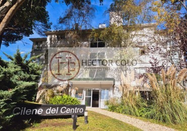 Departamento 2 ambientes Cilene Centro ( Codigo 206090)