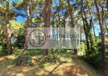 Lote Multifamiliar en Pinamar